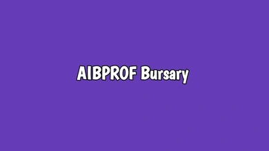 AIBPROF Bursary