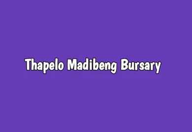 CETA: Thapelo Madibeng Bursary