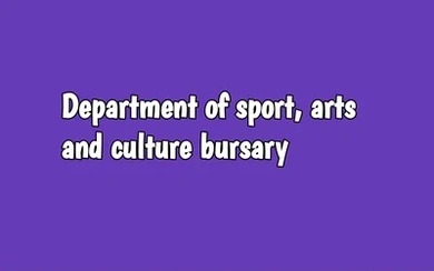 Department of Sport, Arts and Culture Bursary