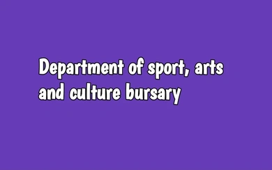Department of Sport, Arts and Culture Bursary