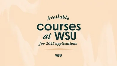Available courses at WSU for 2025 applications