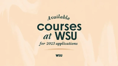 Available courses at WSU for 2025 applications