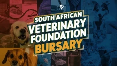 SAVF Bursary