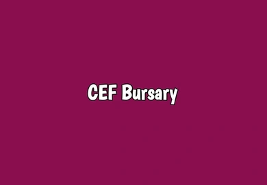 Central Energy Fund (CEF) Bursary