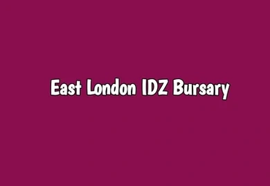 East London IDZ Bursary