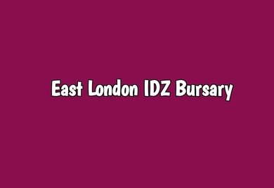 East London IDZ Bursary