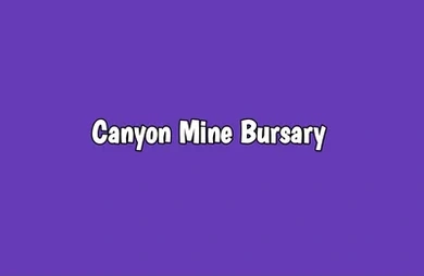 Canyon Bekezela Coal Mine Bursary