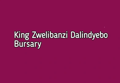 King Buyelekhaya Zwelibanzi Dalindyebo Bursary
