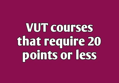 VUT courses that require 20 points (APS) or less