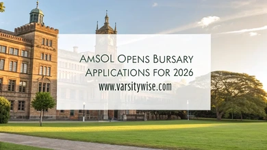 AMSOL Bursary
